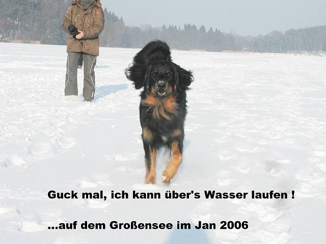 060127026.jpg