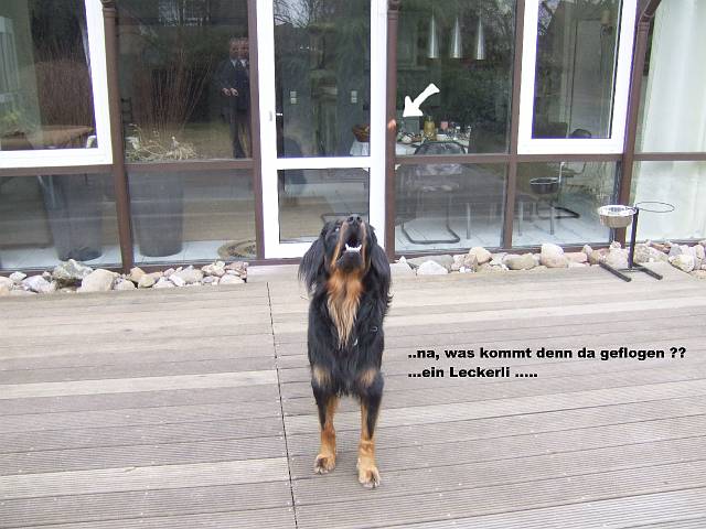 060225073.jpg