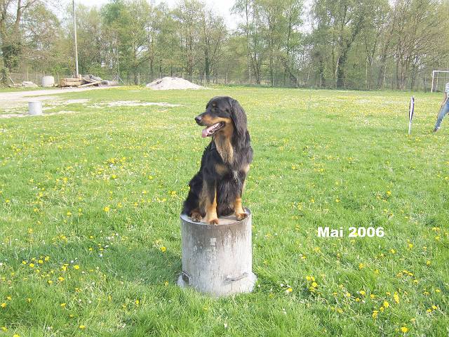060506098.JPG