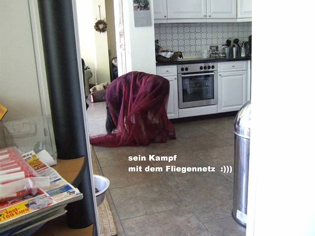 06072101.JPG
