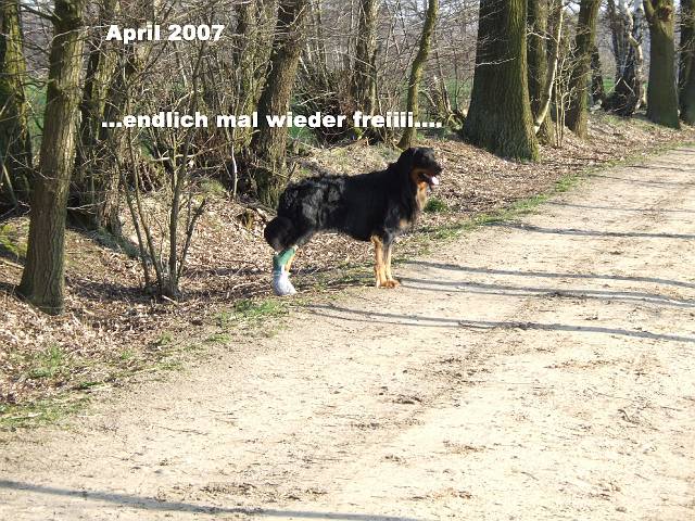 07032501.JPG