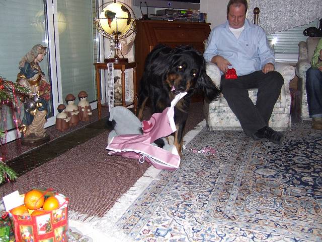 07120003.JPG