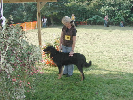 schau050911